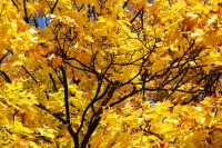 /album/www-pix-fx-de/bild-390-2-jpg/